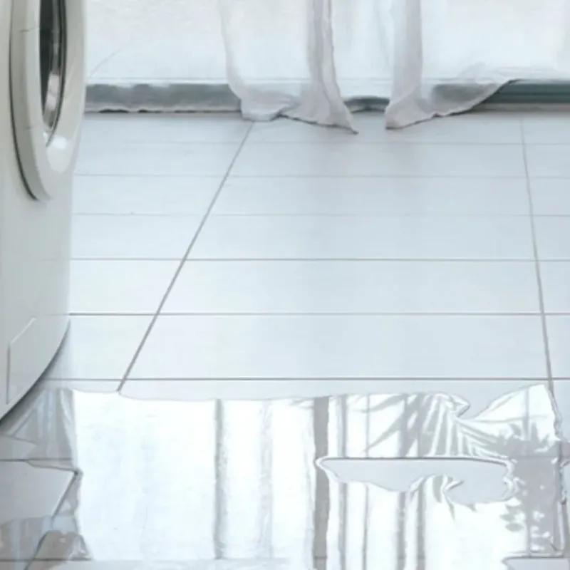 Appliance Leak Cleanup in Belleair Bluffs, FL